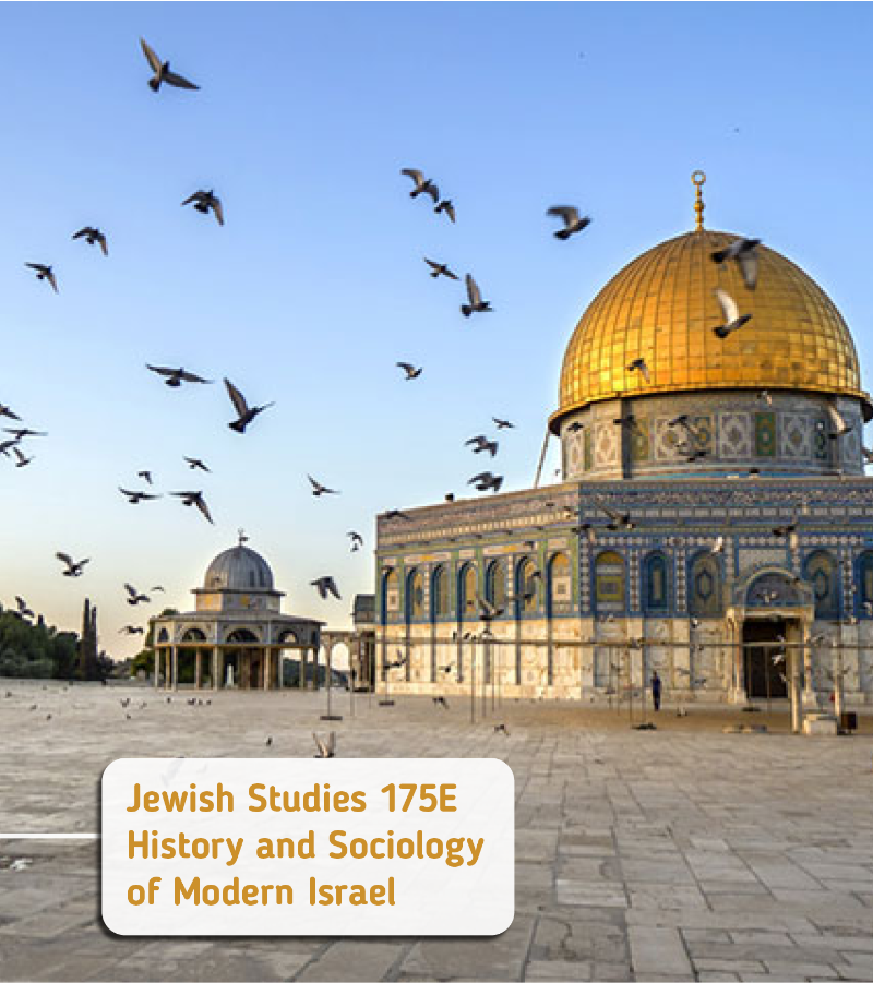 Modern Israel image
